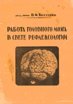 Работа головного мозга в свете рефлексологии: монография