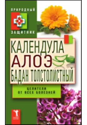 Календула, алоэ и бадан толстолистный — целители от всех болезней