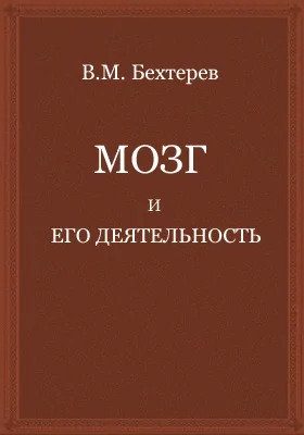 Мозг и его деятельность