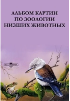 Альбом картин по зоологии низших животных