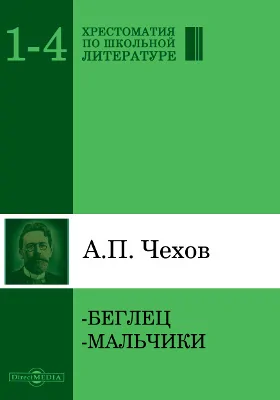 Беглец. Мальчики: художественная литература