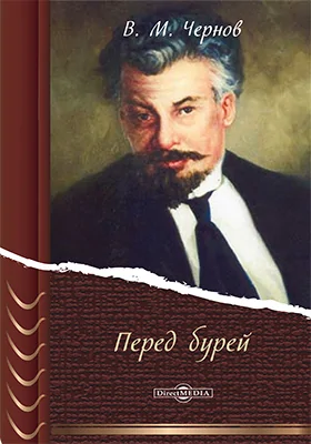 Перед бурей: документально-художественная литература