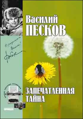 Полное собрание сочинений: публицистика. Том 13. Запечатленные тайны. 1980-1981