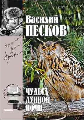 Полное собрание сочинений: публицистика. Том 15. Чудеса лунной ночи. 1983-1985