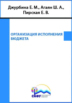 Организация исполнения бюджета