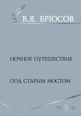 Ночное путешествие. Под старым мостом