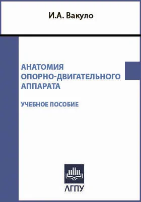 Анатомия опорно-двигательного аппарата