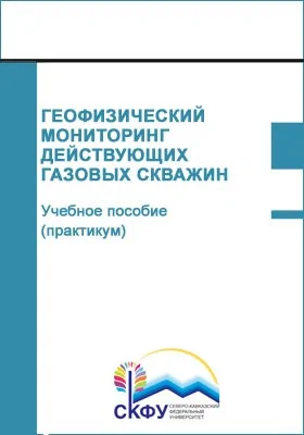 Геофизический мониторинг действующих газовых скважин: учебное пособие (практикум): практикум