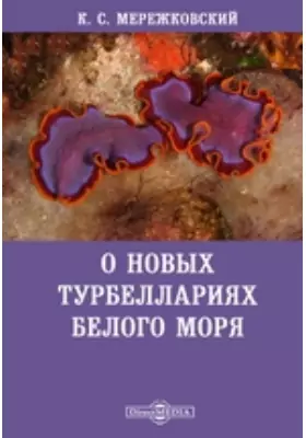 О новых турбеллариях Белого моря