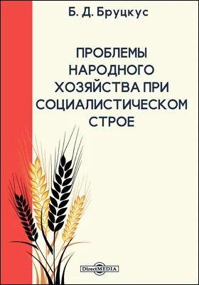 Проблемы народного хозяйства при социалистическом строе