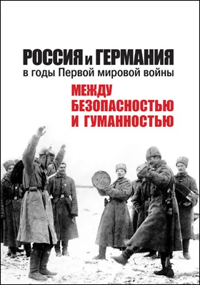 Россия и Германия в годы Первой мировой войны: между безопасностью и гуманностью: монография