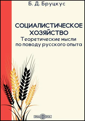 Социалистическое хозяйство. Теоретические мысли по поводу русского опыта: монография