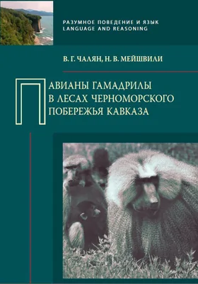 Павианы гамадрилы в лесах Черноморского побережья Кавказа