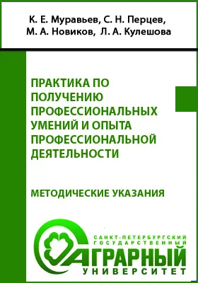 Практика по получению профессиональных умений и опыта профессиональной деятельности