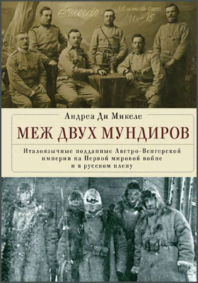 Меж двух мундиров: италоязычные подданные Австро-Венгерской империи на Первой мировой войне и в русском плену: монография