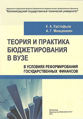 Теория и практика бюджетирования в вузе в условиях реформирования государственных финансов: монография