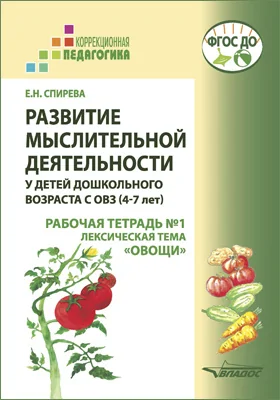 Развитие мыслительной деятельности у детей дошкольного возраста с ОВЗ (4–7 лет)