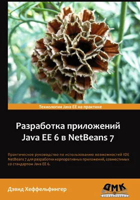 Разработка приложений Java EE 6 в NetBeans 7: профессиональная разработка корпоративных приложений Java EE 6 осуществляется быстро и просто с помощью этой популярной IDE: практическое руководство