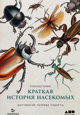 Краткая история насекомых: шестиногие хозяева планеты: научно-популярное издание