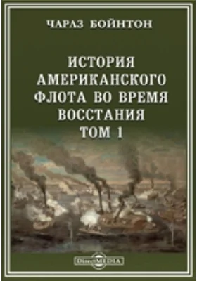 История американского флота во время восстания