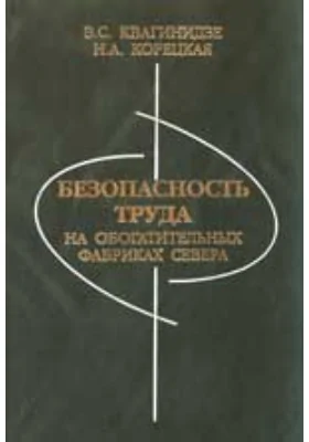 Безопасность труда на обогатительных фабриках Севера: монография