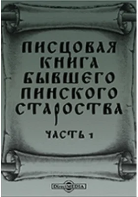 Писцовая книга бывшего Пинского староства