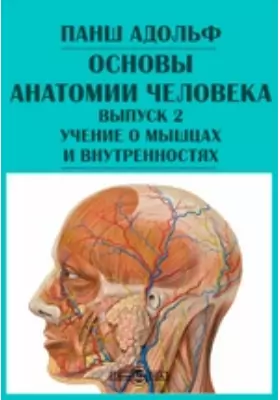 Основы анатомии человека
