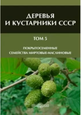 Деревья и кустарники СССР Семейства Миртовые-маслиновые